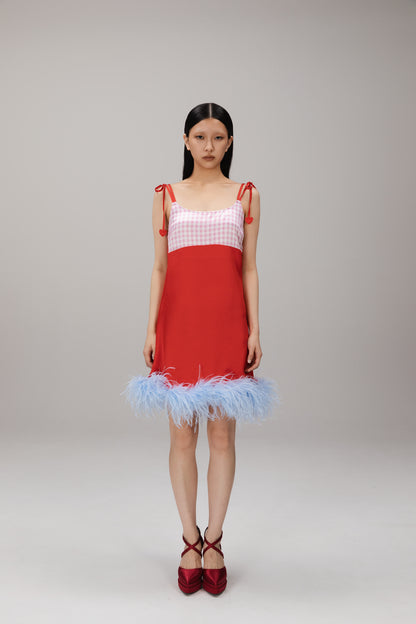 Red Gingham Feather-Hem Slip Dress worn