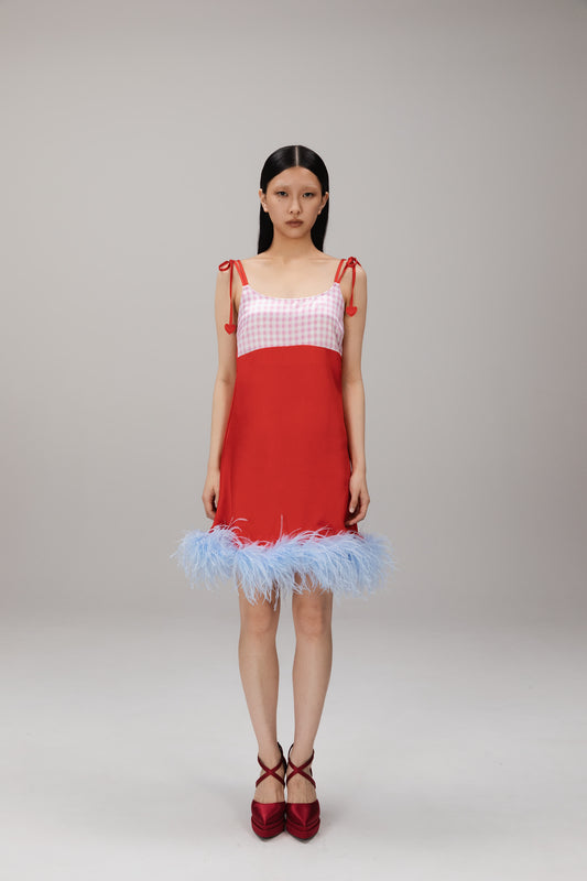 Red Gingham Feather-Hem Slip Dress worn