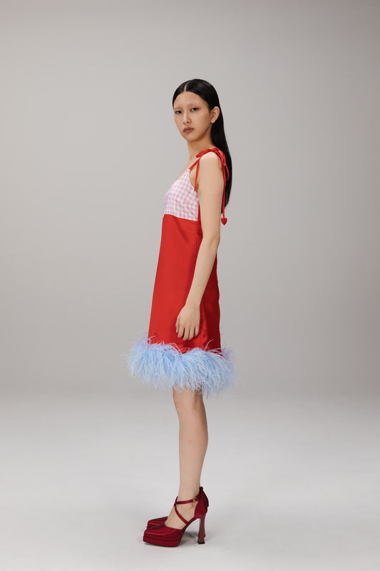 Red Gingham Feather-Hem Slip Dress worn